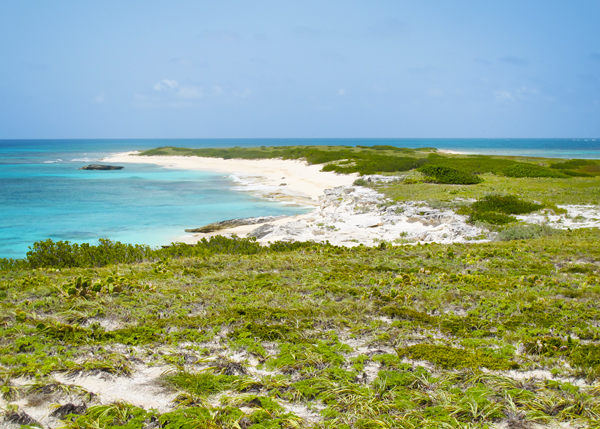 A photograph of Big Sand Cay, Turks and Caicos Islands, British West Indies