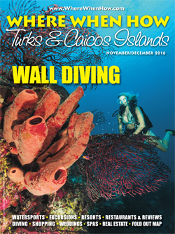 Where When How - Turks & Caicos Islands - November / December 2016 magazine cover.