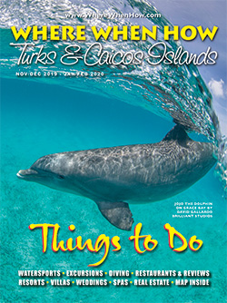Read our November /December 2019 – January /February 2020 issue of Where When How - Turks & Caicos Islands magazine online NOW!