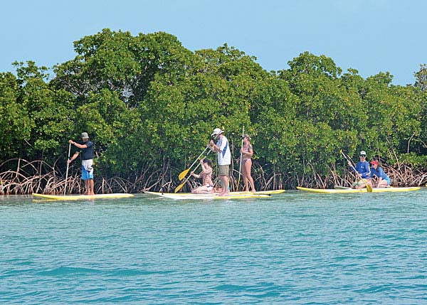 A photograph of Stand Up Paddleboarding (SUP) around Providenciales and the Turks and Caicos Islands